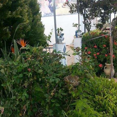 B&B La Casa Dell'Artista Assoro Dış mekan fotoğraf