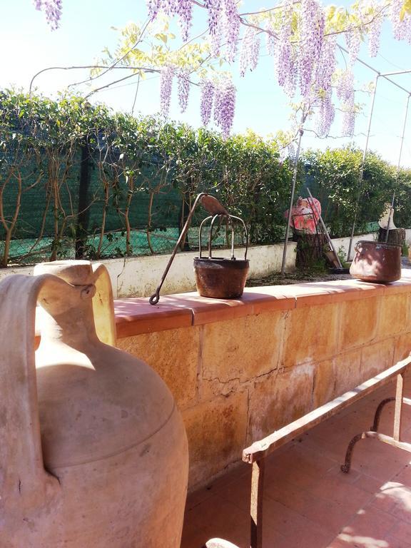 B&B La Casa Dell'Artista Assoro Dış mekan fotoğraf